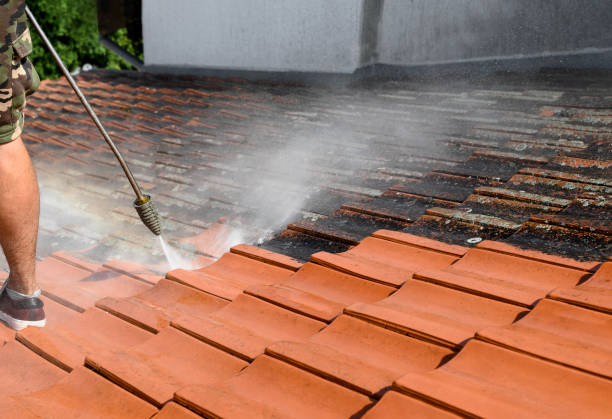 Trusted Twin Grove, IL Pressure Washing Experts