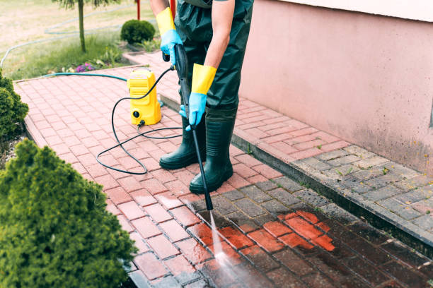 Best Roof Power Washing Services  in Twin Grove, IL
