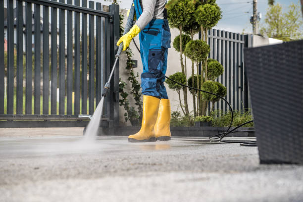 Best Concrete Pressure Washing  in Twin Grove, IL